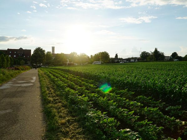 Bilder der Plogging Aktion 2019