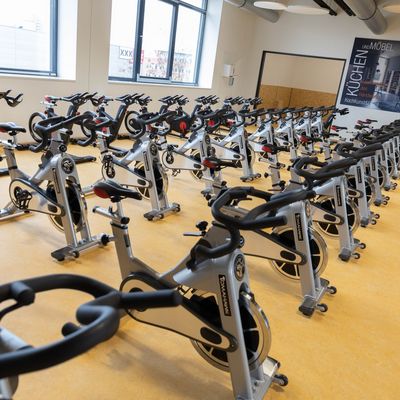Angebote im activity