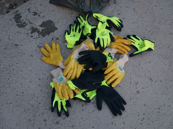 Bilder der Plogging Aktion 2019