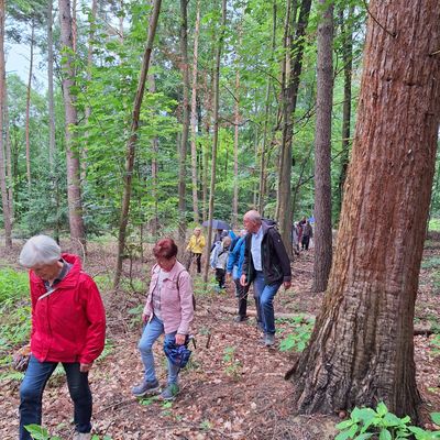 Seniorenausflug "Kappelberg"