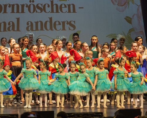 Crowdfunding: Ballett Kostüme